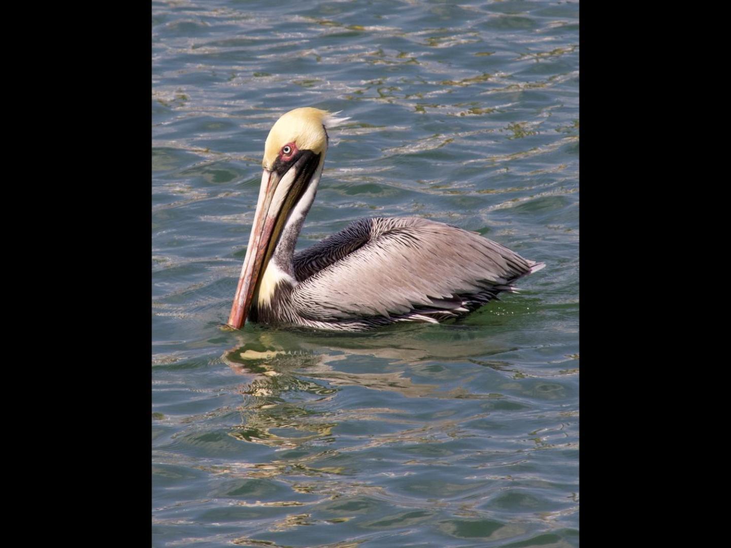 סיינט אגוסטין Inn At Camachee Harbor View 12 מראה חיצוני תמונה